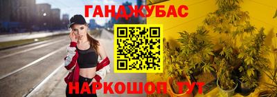 трава Кингисепп