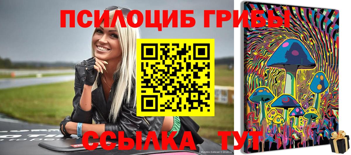 Псилоцибиновые грибы ЛСД Благовещенск