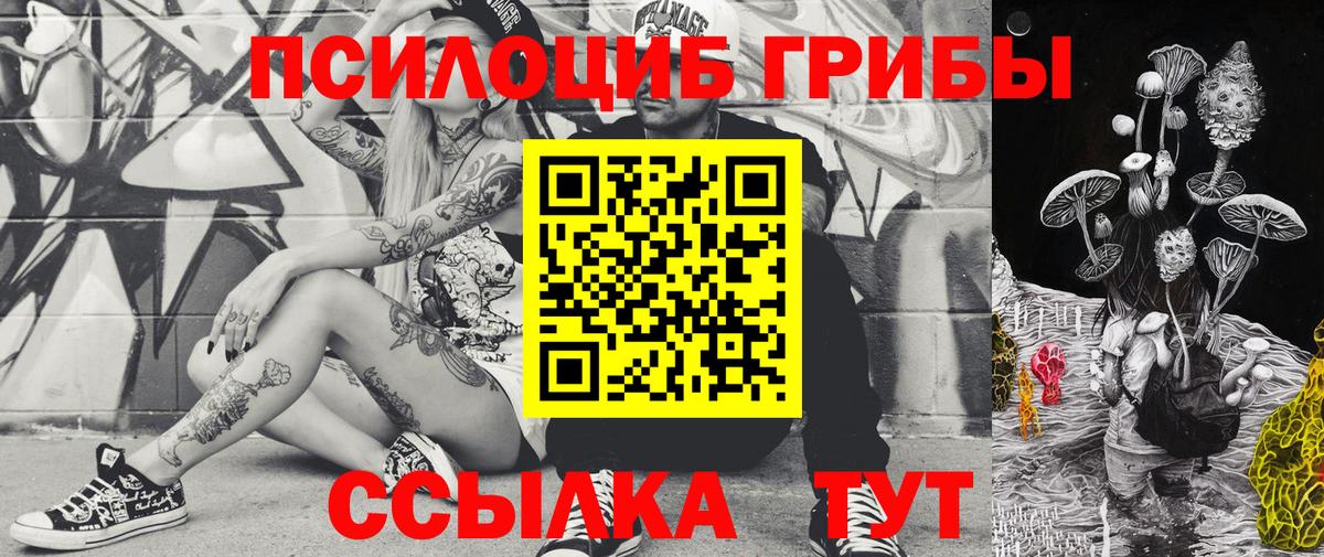 Благовещенск  Галлюциногенные грибы мицелий  Вход с VPN 